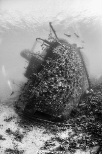 The Giannis D sank with its cargo of timber at Sha'ab Abu... by Christian Schlamann 